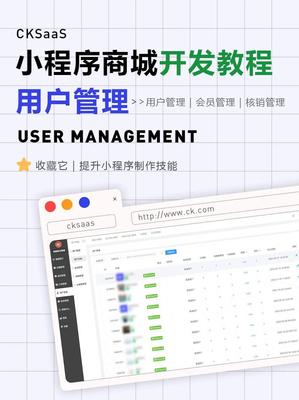 小程序開發(fā)崗位解析 從技術(shù)到維護(hù)的職業(yè)全景